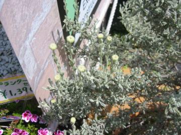 ���R�@���R�@�O�\