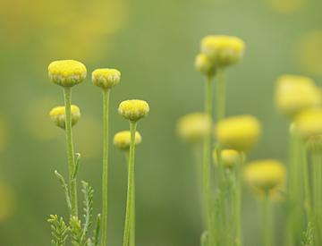 ���R�@���R�@�O�\