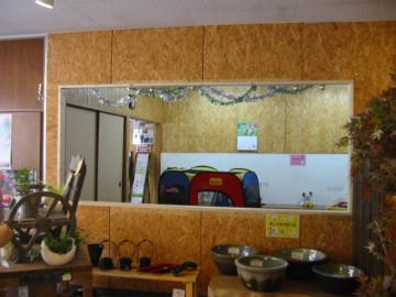 ���C��2�B