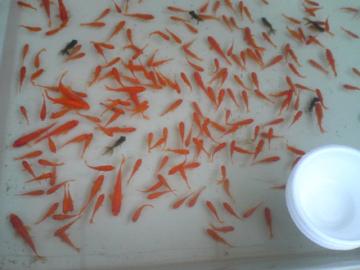 �C���F���g2