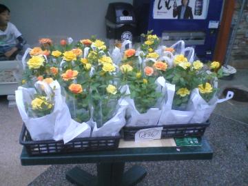 �C���F���g4