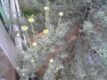 �C���F���g9