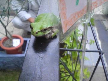 �������