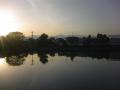 悤