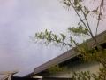 GSmL