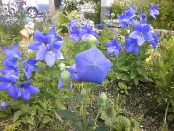 �L�L���E���p�@�`����