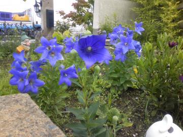 �L�L���E���|�����