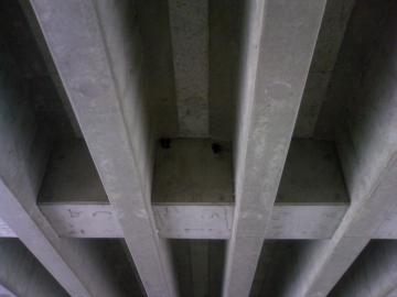 �c�o������