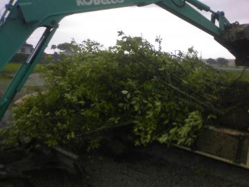 ���b�h���r����̂��āA�y��ɉ��u���ł��E�E�E