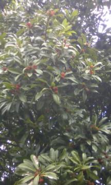 ���}����