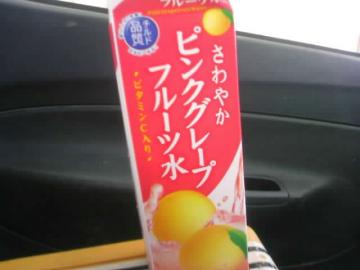 �s���N��