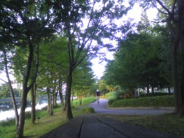 tamaniha