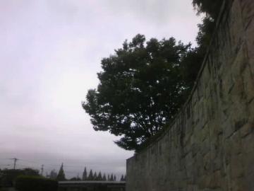 natural �� movement