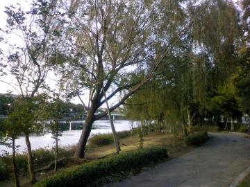 �K�`���o����