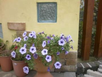 �x�R�̓��V�o���ނŁ`����