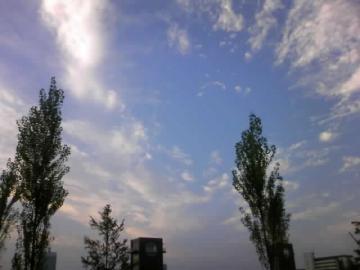 fine day��