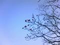 �n�i�~�Y�L�̎�