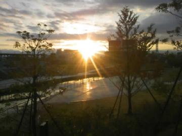 �U���T�X�����ȁ�