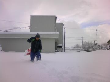 ueyama����