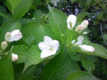 �E�c�M����