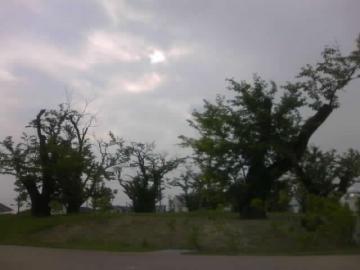�O�U�P�R��