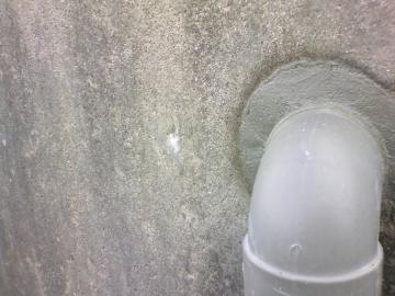 �J�r���̃����^����C