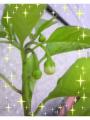 �h�E�_���݂�����