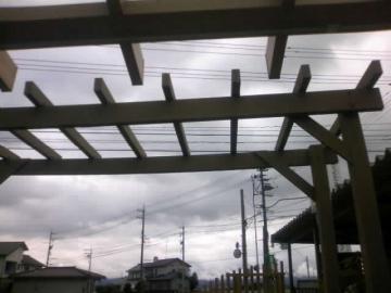 �A����񂾁�