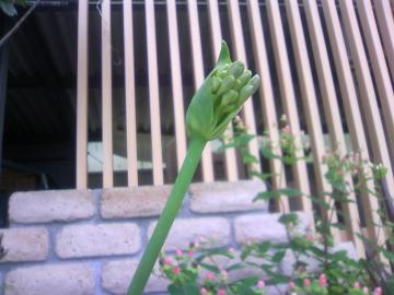 ����͂��������āB�B�B�I�I