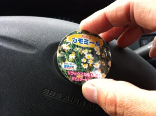 �w�̃V�����C�ɂȂ�ueyama����