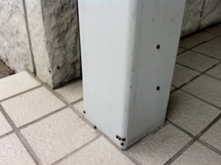 �J���J��