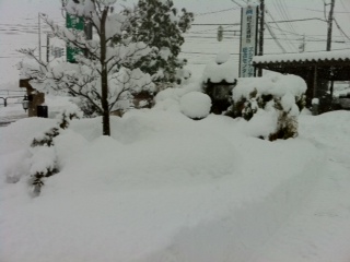 ����̂������肪�����Ƃ�������ɁI