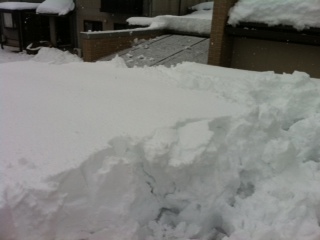 �J�[�|�[�g�ƃe���X�̐����񂨂낵�܂��傤U+266C