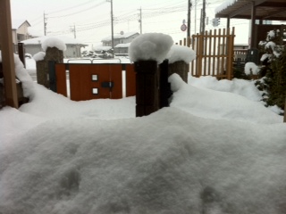 �����Ղ��ꏊ����̌��i