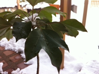 �J�N���~�m