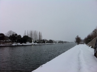 ���ނ����ǋC�����C�C���(�L�ÁM )