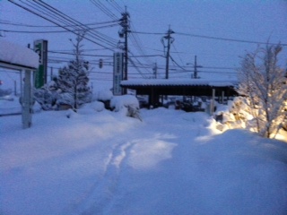 �����̓R�R�܂œ˓��ł��Ȃ�����(�L�D` )