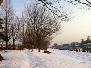 ���̂܂�܂̒�