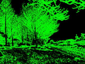 ����ȕ��Ƀf�b�T���ł����炢����₯�ǂˁ�( �L���M)