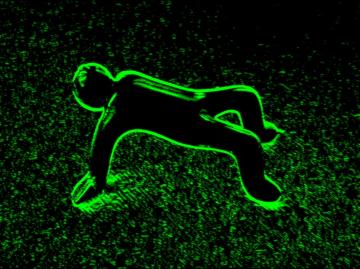 ��s�J�����ŃI�T�G�}��2��