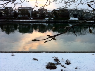 �R�u�V����i�O�n�O�j