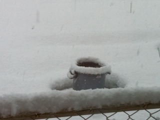 ����A�܂���i�F(�L�D` )