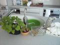 kitchen_gardening03