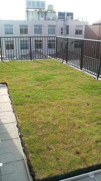 �����s���玩�R�ɁA�����Đl�ɗD�����B�Ή��̂���āB