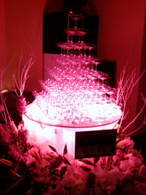 ���˂��낤�͌��Ă邾���B