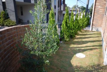 K̊O\ƃGNXeAȂgbveNmII