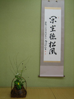 ̂ԂOP