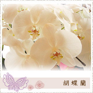 ꌧO\X@p[`FťӒ