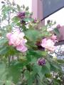 @ߍ]s@O\@p[`Ft@tE