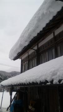 ���ꌧ�@�K�[�f�����[���W��